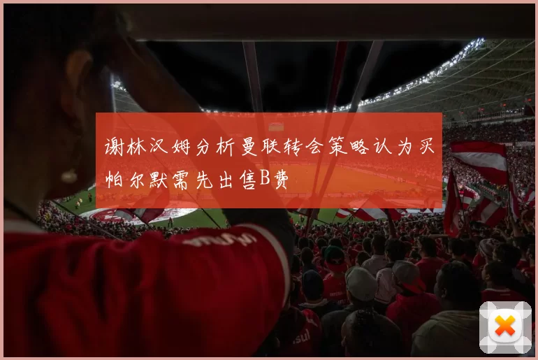 谢林汉姆分析曼联转会策略认为买帕尔默需先出售B费